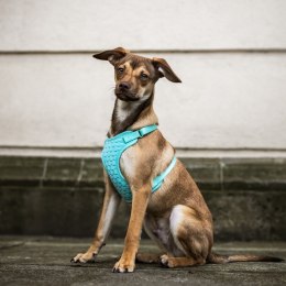 DINGO Szelki roz. M ; a:36-51cm,b:39-51cm miętowe