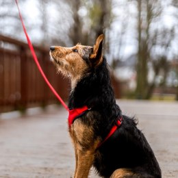 DINGO Szelki roz. S ; a:28-40cm,b:30-38cm czerwone