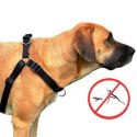 DINGO szelki "easy walk" roz.120(95-125cm) czarne