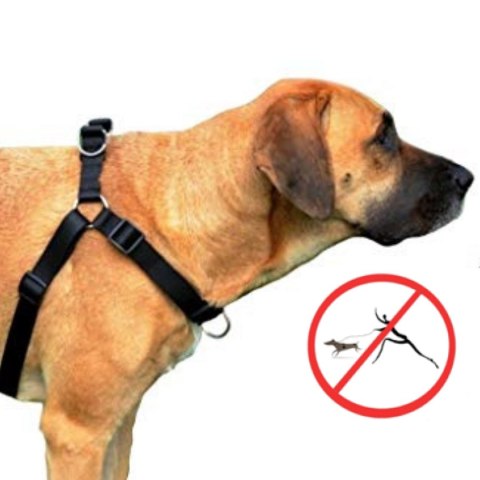 DINGO szelki "easy walk" roz.120(95-125cm) czarne DINGO szelki "easy walk" roz.120(95-125cm) czarne
