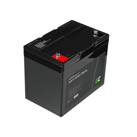 GREEN CELL AKUMULATOR LIFEPO4 CAV11 12/12,8V 60AH 768WH / M8 GREEN CELL AKUMULATOR LIFEPO4 CAV11 12/12,8V 60AH 768WH / M8
