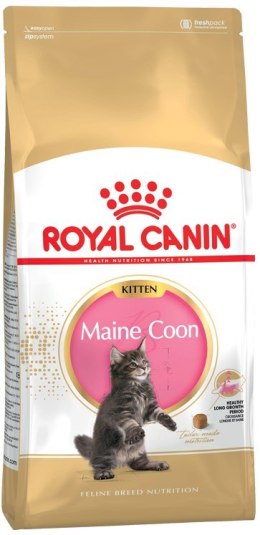 ROYAL CANIN FBN Maine Coon Kitten - sucha karma dla kociąt - 2kg (WYPRZEDAŻ)
