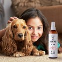 PET Mgiełka zapachowa Magic mist 250ml