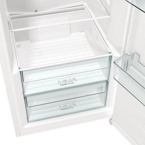 Chłodziarka GORENJE R619EEW5 Chłodziarka GORENJE R619EEW5