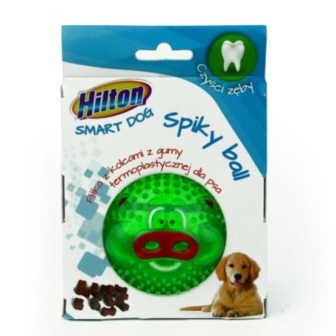 HILTON Dog Spiky Ball mix kolor piłka z kolcami 8cm dla psa HILTON Dog Spiky Ball mix kolor piłka z kolcami 8cm dla psa