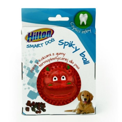HILTON Dog Spiky Ball mix kolor piłka z kolcami 8cm dla psa HILTON Dog Spiky Ball mix kolor piłka z kolcami 8cm dla psa