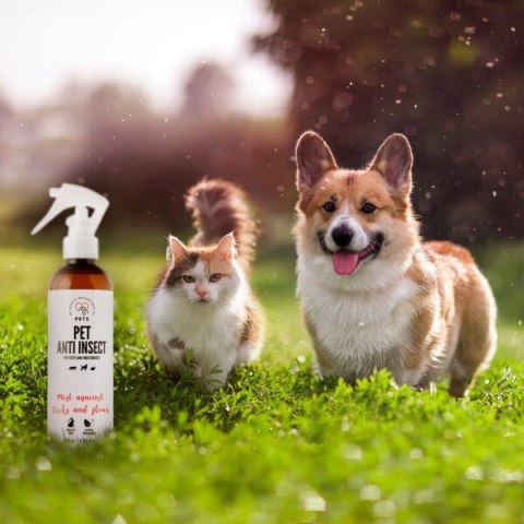 PET Mgiełka przeciw kleszczom Anti insect 250ml PET Mgiełka przeciw kleszczom Anti insect 250ml