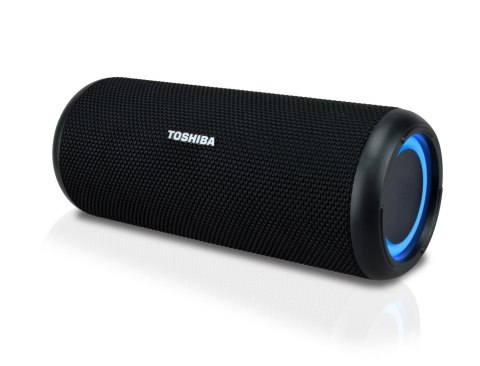 Przenośny głośnik bluetooth Toshiba TY-WSP201 Przenośny głośnik bluetooth Toshiba TY-WSP201