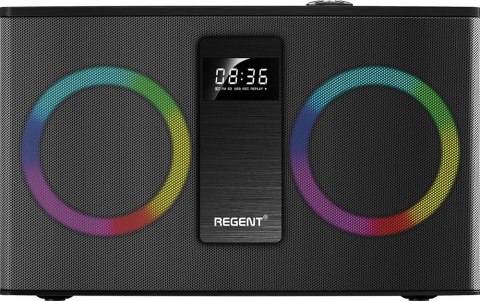 FERGUSON REGENT GŁOŚNIK PARTY 300BT POWER AUDIO FERGUSON REGENT GŁOŚNIK PARTY 300BT POWER AUDIO