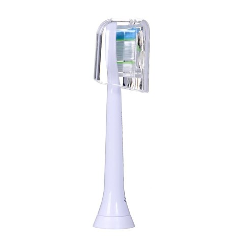 ELECTRIC TOOTHBRUSH/HX6839/28 PHILIPS ELECTRIC TOOTHBRUSH/HX6839/28 PHILIPS