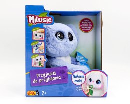 EP Milusie plusz interaktywny, Koala EP03950