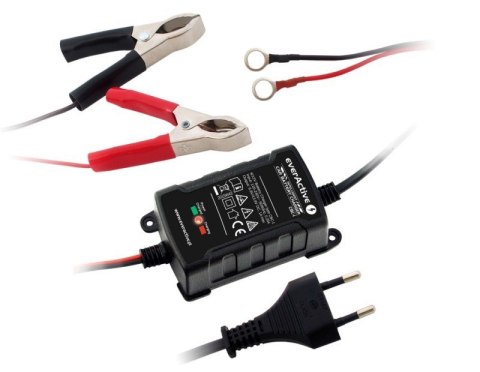 Ładowarka prostownik do akumulatorów 6V/12V everActive 14V/1A CBC-1 Ładowarka prostownik do akumulatorów 6V/12V everActive 14V/1A CBC-1
