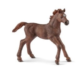 Schleich 13857 Źrebię pełnej krwi angielskiej