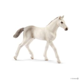 Schleich 13860 Źrebię rasy holsztyńskiej