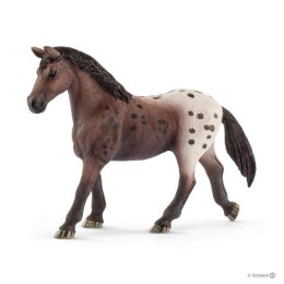 Schleich 13861 Klacz rasy Appaloosa