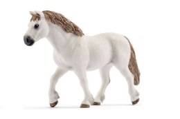 Schleich 13872 Klacz rasy walijskiej