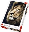 Puzzle 1500el Portret Lwa 26139 Trefl p6