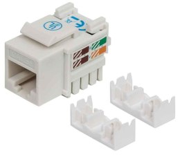 Moduł Keystone RJ45 UTP kat.5e do zarabiania Intellinet (biały)