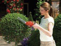 BLACK+DECKER NOŻYCE DO ŻYWOPŁOTU 3,6V GSL300 15cm BLACK+DECKER NOŻYCE DO ŻYWOPŁOTU 3,6V GSL300 15cm
