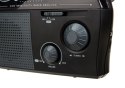Radio Adler