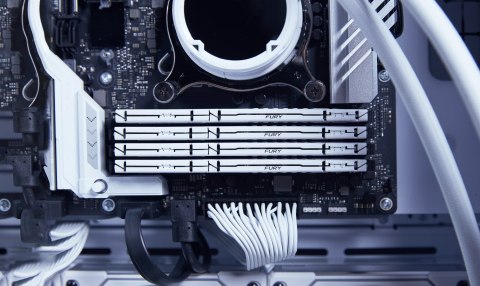 16GB DDR5-5600MT/S CL40/DIMM FURY BEAST WHITE XMP 16GB DDR5-5600MT/S CL40/DIMM FURY BEAST WHITE XMP