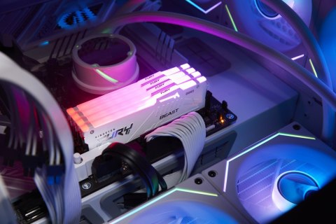 32GB DDR5-6000MT/S CL36/DIMM FURY BEAST WHITE RGB EXPO 32GB DDR5-6000MT/S CL36/DIMM FURY BEAST WHITE RGB EXPO