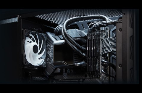8GB DDR5-6000MTS CL40 DIMM FURY/BEAST BLACK 8GB DDR5-6000MTS CL40 DIMM FURY/BEAST BLACK