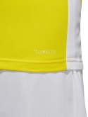 Koszulka męska adidas Entrada 18 Jersey żółta CD8390