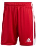 Spodenki męskie adidas Tastigo 19 Shorts czerwone DP3681