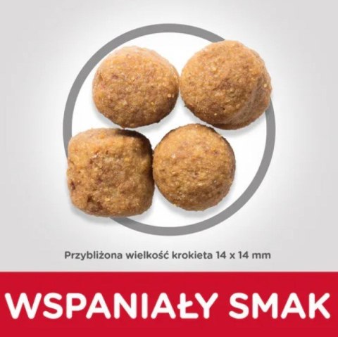 Hill's SP large breed adult, lamb and rice,dla psa 14 kg Hill's SP large breed adult, lamb and rice,dla psa 14 kg