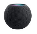 Apple HomePod mini Space Gray (WYPRZEDAŻ)
