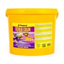 TROPICAL Cichlid Color XXL - foder til akvariefisk - 5 l/1 kg