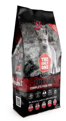 AlphaSpirit The Only One Puppies, 12 kg