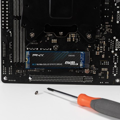 PNY CS2130 - 500 GB - PCI Express 3.0 x PNY CS2130 - 500 GB - PCI Express 3.0 x