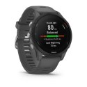 SMARTWATCH FORERUNNER 255/SLATE GREY 010-02641-10 GARMIN