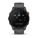 SMARTWATCH FORERUNNER 255/SLATE GREY 010-02641-10 GARMIN