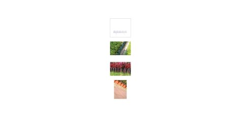 PROSPERPLAST OBRZEŻE OGRODOWE 10m GARDEN LINE ZIELONE PROSPERPLAST OBRZEŻE OGRODOWE 10m GARDEN LINE ZIELONE