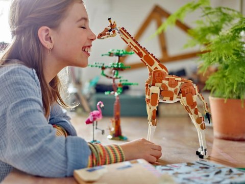 LEGO 31150 CREATOR Dzikie zwierzęta z safari p3 LEGO 31150 CREATOR Dzikie zwierzęta z safari p3