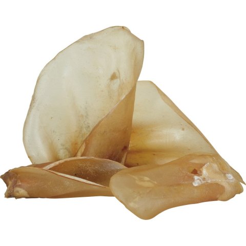 ZOLUX Przysmak naturalny dla psa Uszy wołowex50,1kg ZOLUX Przysmak naturalny dla psa Uszy wołowex50,1kg