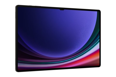 Samsung Galaxy Tab S9 Ultra 14.6 (X910) Wi-Fi 12/256GB Graphite Samsung Galaxy Tab S9 Ultra 14.6 (X910) Wi-Fi 12/256GB Graphite