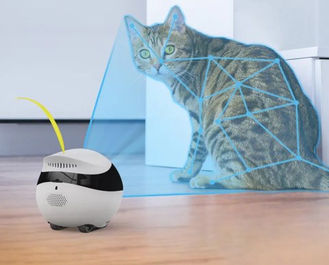 Enabot EBO AIR Robot Kamera IP Kompaktowa N/A MP N / A 16 GB pamięci zewnętrznej, obsługa maksymalnie 256 GB Enabot EBO AIR Robot Kamera IP Kompaktowa N/A MP N / A 16 GB pamięci zewnętrznej, obsługa maksymalnie 256 GB
