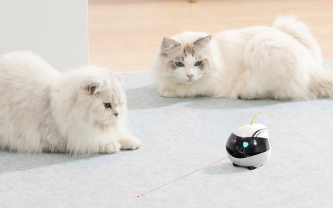 Enabot EBO AIR Robot Kamera IP Kompaktowa N/A MP N / A 16 GB pamięci zewnętrznej, obsługa maksymalnie 256 GB Enabot EBO AIR Robot Kamera IP Kompaktowa N/A MP N / A 16 GB pamięci zewnętrznej, obsługa maksymalnie 256 GB
