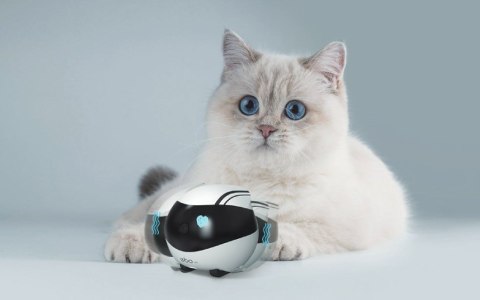 Enabot EBO AIR Robot Kamera IP Kompaktowa N/A MP N / A 16 GB pamięci zewnętrznej, obsługa maksymalnie 256 GB Enabot EBO AIR Robot Kamera IP Kompaktowa N/A MP N / A 16 GB pamięci zewnętrznej, obsługa maksymalnie 256 GB