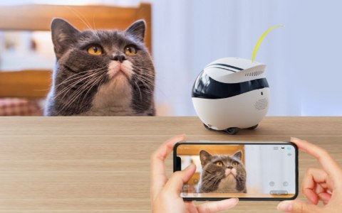 Enabot EBO AIR Robot Kamera IP Kompaktowa N/A MP N / A 16 GB pamięci zewnętrznej, obsługa maksymalnie 256 GB Enabot EBO AIR Robot Kamera IP Kompaktowa N/A MP N / A 16 GB pamięci zewnętrznej, obsługa maksymalnie 256 GB