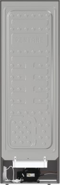 Gorenje | R619EES5 | Lodówka | Klasa efektywności energetycznej E | Spiżarnia | Wysokość 185 cm | 38 dB | Stal nierdzewna