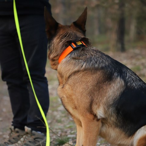 DINGO Obroża 2,0 x 45cm(24-39) pomarańczowa DINGO Obroża 2,0 x 45cm(24-39) pomarańczowa