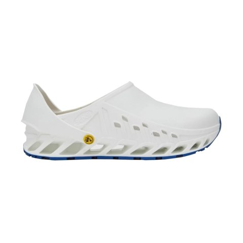 Buty Evoflex marki Scholl Buty Evoflex marki Scholl