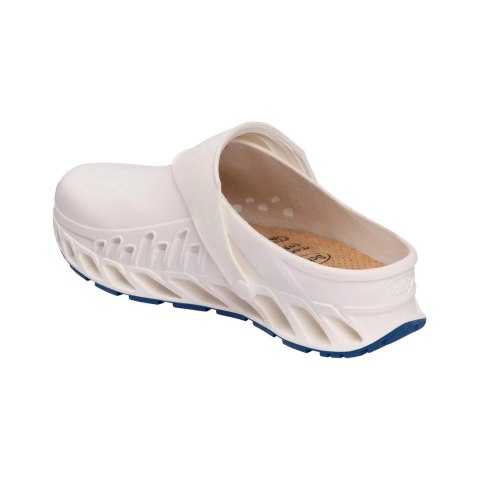 Buty Evoflex marki Scholl Buty Evoflex marki Scholl