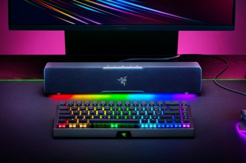 Razer Leviathan V2 X Soundbar Razer Leviathan V2 X Soundbar