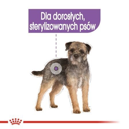 ROYAL CANIN CCN STERILIZED LOAF 12X85 ROYAL CANIN CCN STERILIZED LOAF 12X85